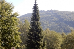 DSCN2208