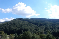 DSCN2221