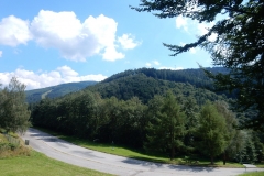 DSCN2222