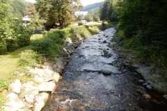 DSCN2228
