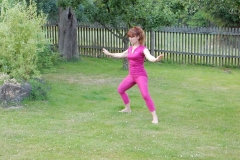DSCN4586_Volarna