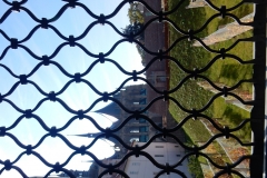 DSCN6924