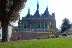 DSCN6951