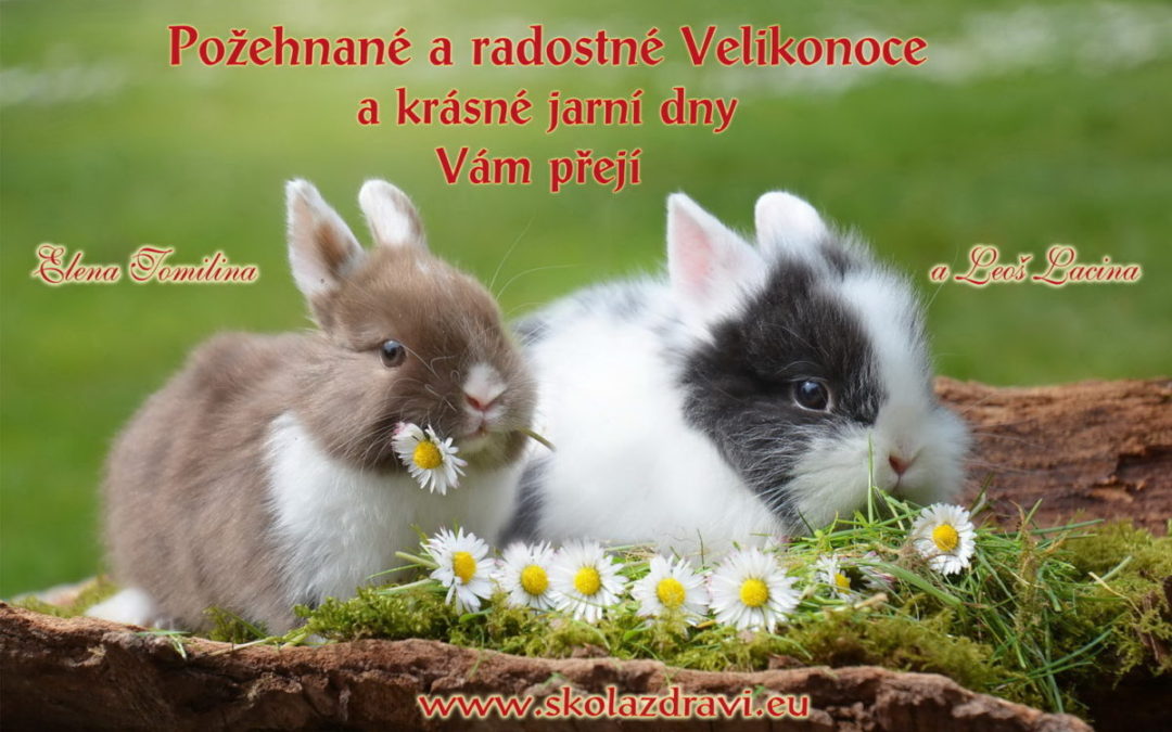 Veselé Velikonoce – přání