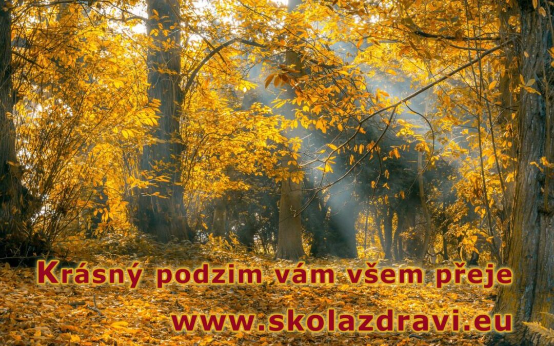 Podzim se blíží, zářijový a říjnové kurzy budou.