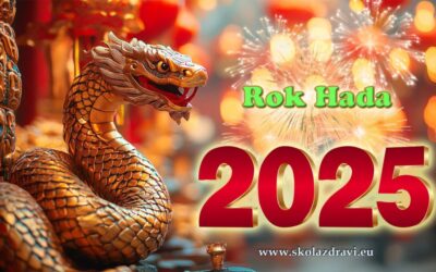 2025 – Vláda dřevěného Hada začíná 29. ledna
