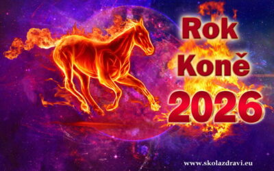 2026 – Vláda ohnivého Koně začala 17. února